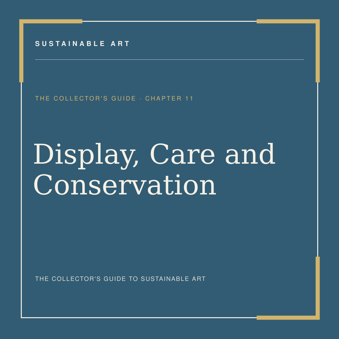 Display, Care and Conservation, guide header