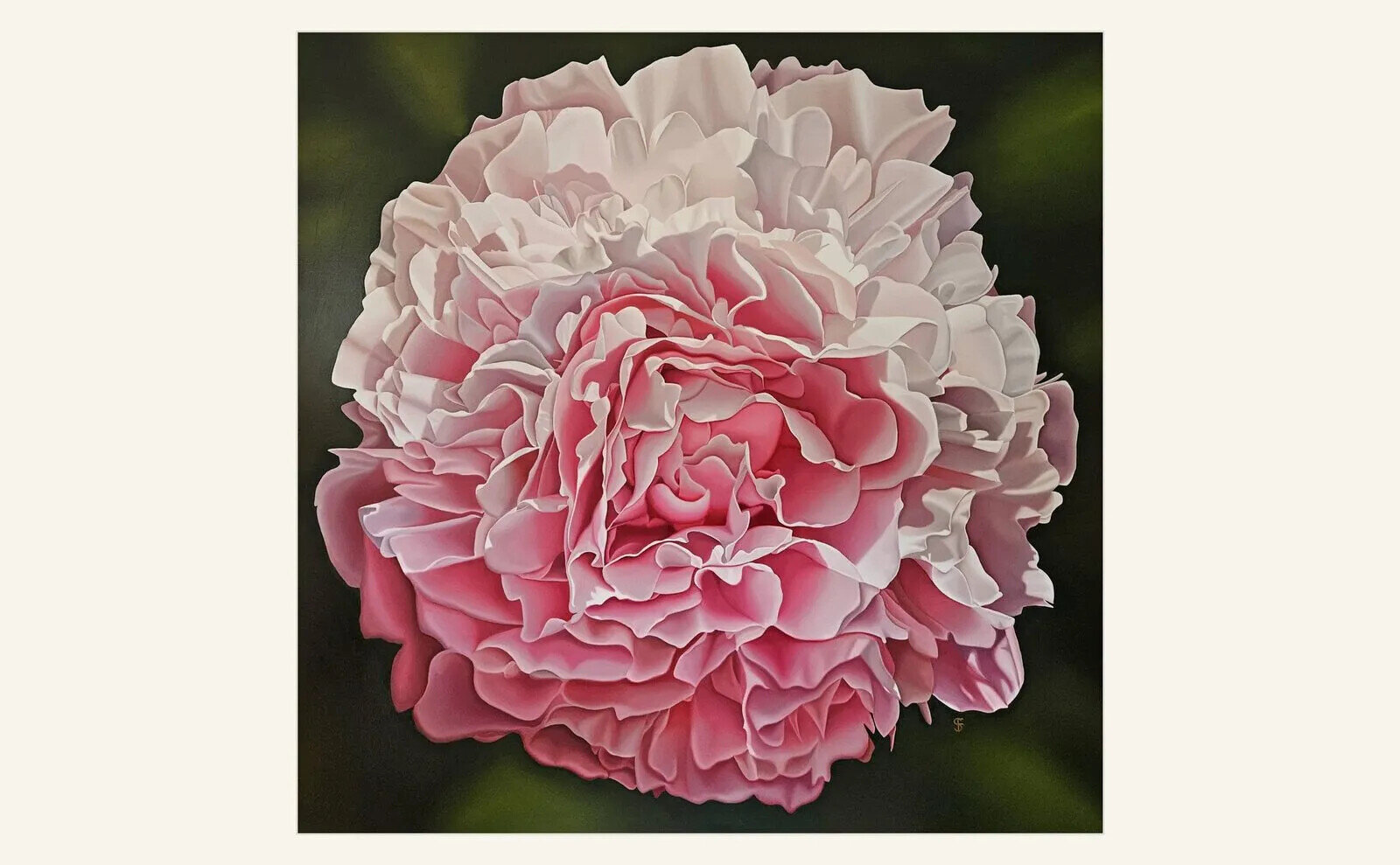 Steve Foster, Raspberry Ripple, 2025, a close-up pink floral painting created through an environmentally conscious studio practice without harmful solvents.